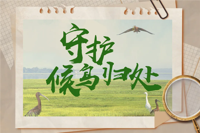 【世界地球日】守护候鸟归处